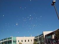 release of balloons in remebrance of emily