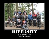 diversity