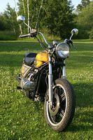 IMG_4250.jpg