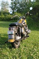 IMG_4252.jpg