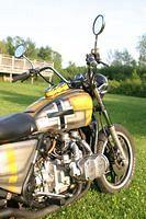 IMG_4254.jpg