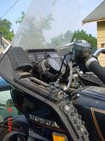 81 wing 100