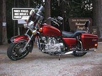 Progressives in the front, and 11" Progressive 412's in the rear, added a windshield with Red transparent plexi insert in t
