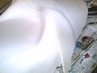 PICT0089.jpg