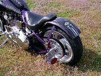 6718_3.jpg