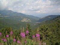 DSCN2922