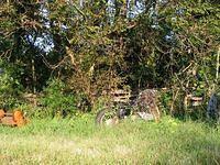 derelict_bikes_008.jpg