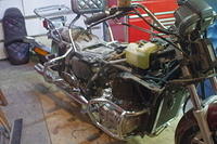 IMGP1973