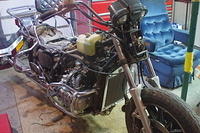 IMGP1975