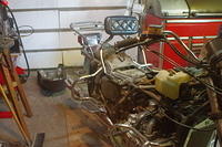 IMGP1981