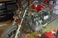 IMGP1988