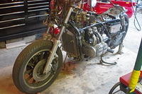 IMGP2002