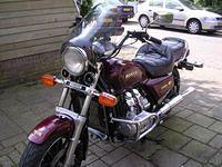 gl 1200 naked
