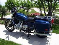 The Blue Goose