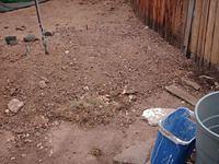 All Removed From Front Driveway