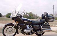 ShelbyWing75