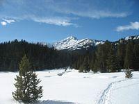 Yellowstone Natl Park in the winter