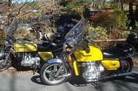 DSC09418 (1024x683).jpg