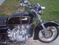 warner459