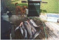 A decent night on the River  Hence my Nickname!!