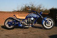Blue Dragon
