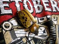 A TWO INCH ARMY BEAT'R UP'R HITCH HICKING ON MY BACK!